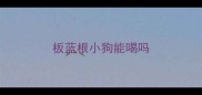 板蓝根小狗能喝吗