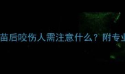 宠物犬接种狂犬疫苗后咬伤人需注意什么附专业处理指南与风险