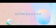猫咪呼吸道感染的表现