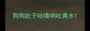 狗狗肚子咕噜响吐黄水