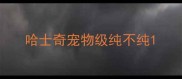 哈士奇宠物级纯不纯