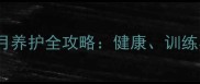 边境牧羊犬4个月养护全攻略健康训练与饮食注意事项