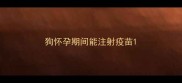 狗怀孕期间能注射疫苗