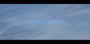边牧狗狗可以画眉毛吗