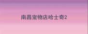 南昌宠物店哈士奇