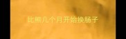 比熊几个月开始换肠子
