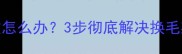 哈士奇掉毛严重怎么办3步彻底解决换毛期毛发管理难题
