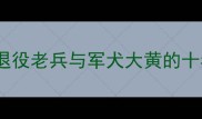 军旅情缘退役老兵与军犬大黄的十年陪伴故事