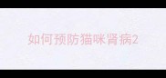 如何预防猫咪肾病