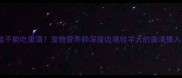 边牧能不能吃蛋清宠物营养师深度边境牧羊犬的蛋清摄入指南