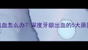 8个月大幼犬牙龈出血怎么办深度牙龈出血的5大原因与科学应对指南