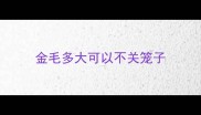 金毛多大可以不关笼子