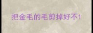 把金毛的毛剪掉好不