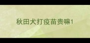 秋田犬打疫苗贵嘛