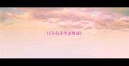 拉布拉多专业繁殖