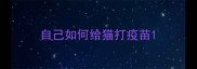 自己如何给猫打疫苗