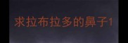 求拉布拉多的鼻子