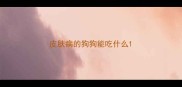 皮肤病的狗狗能吃什么