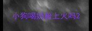 小狗喝奶粉上火吗