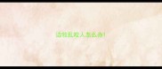 边牧乱咬人怎么办