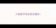 小泰迪不吃东西光喝水