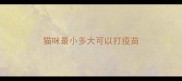 猫咪最小多大可以打疫苗