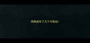 狗狗成年了几个月驱虫