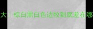 边牧毛色价格大棕白黑白色边牧到底差在哪养狗人必看