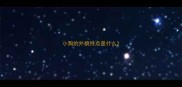 小狗的外貌特点是什么