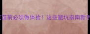 猫打疫苗前必须做体检这些避坑指南新手必看