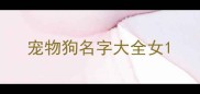 宠物狗名字大全女