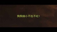 狗狗细小不拉不吐