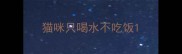 猫咪只喝水不吃饭