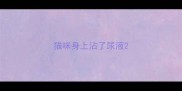 猫咪身上沾了尿液