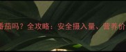 宠物狗可以吃番茄吗全攻略安全摄入量营养价值和潜在风险