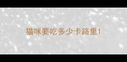 猫咪要吃多少卡路里