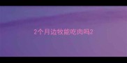 2个月边牧能吃肉吗