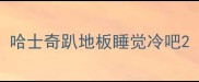 哈士奇趴地板睡觉冷吧