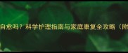 金毛犬骨折能自愈吗科学护理指南与家庭康复全攻略附X光片解读