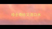 哈士奇吐又流口水