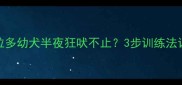 新手必看拉布拉多幼犬半夜狂吠不止3步训练法让TA安睡整夜
