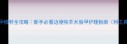 边牧指甲修剪全攻略新手必看边境牧羊犬指甲护理指南附工具推荐