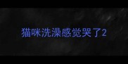 猫咪洗澡感觉哭了