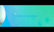 拉布拉多幼犬肚皮没有毛吗