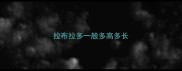 拉布拉多一般多高多长