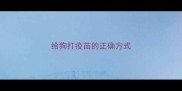 给狗打疫苗的正确方式