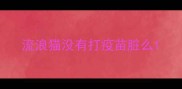 流浪猫没有打疫苗脏么