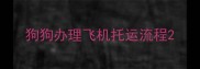狗狗办理飞机托运流程