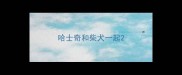哈士奇和柴犬一起