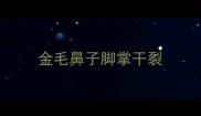金毛鼻子脚掌干裂